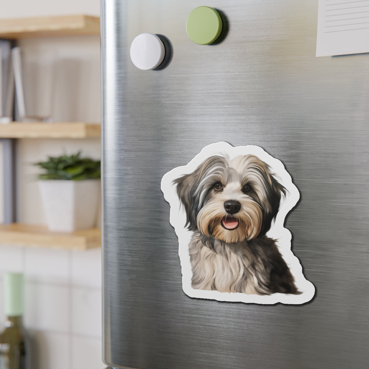 Havanese Magnet