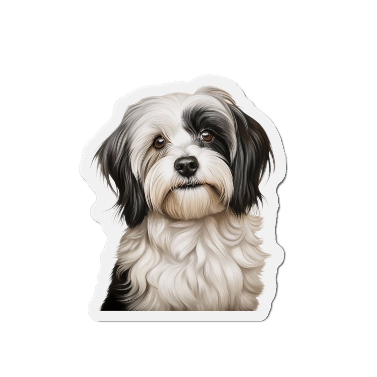Havanese Magnet