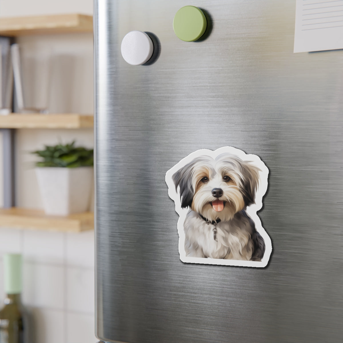 Havanese Magnet