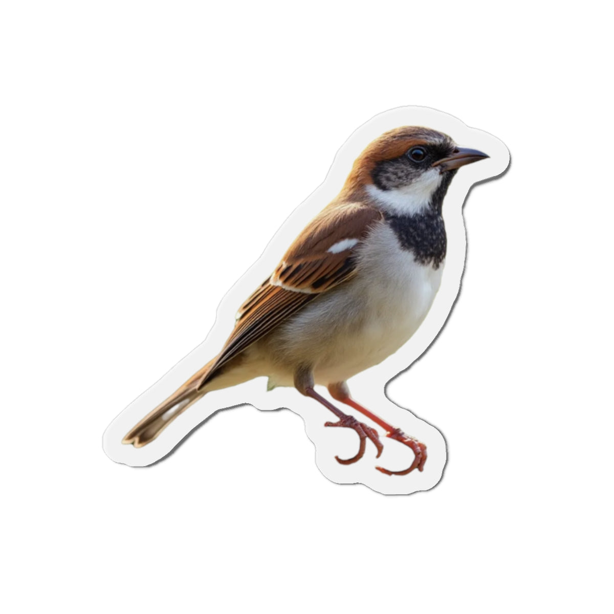 Sparrow Magnet Die-Cut Magnets, Bird Fridge Magnets, Animal Kitchen Decor, Cute Bird Magnets, Refrigerator Decorations
