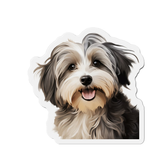 Havanese Magnet