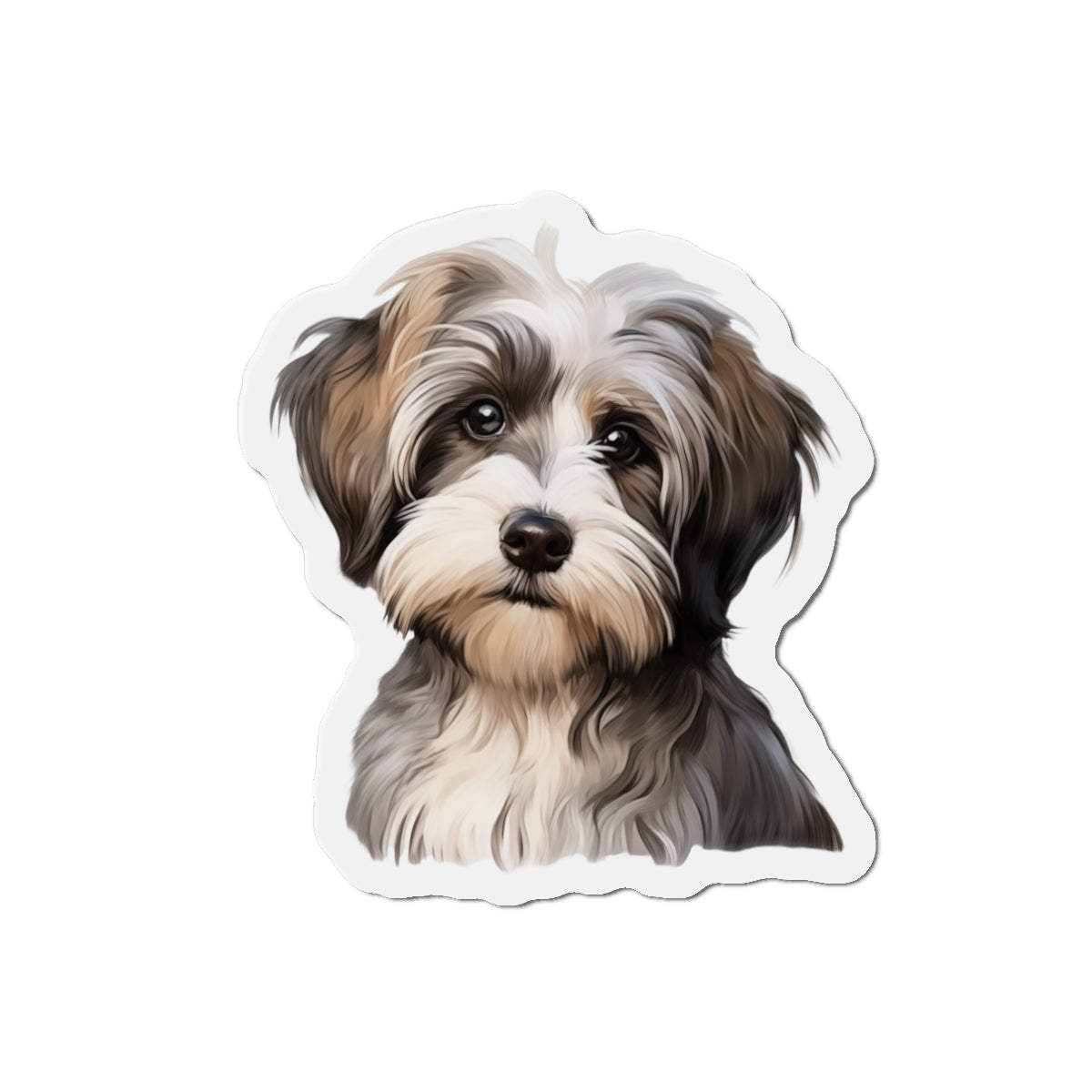 Havanese Magnet