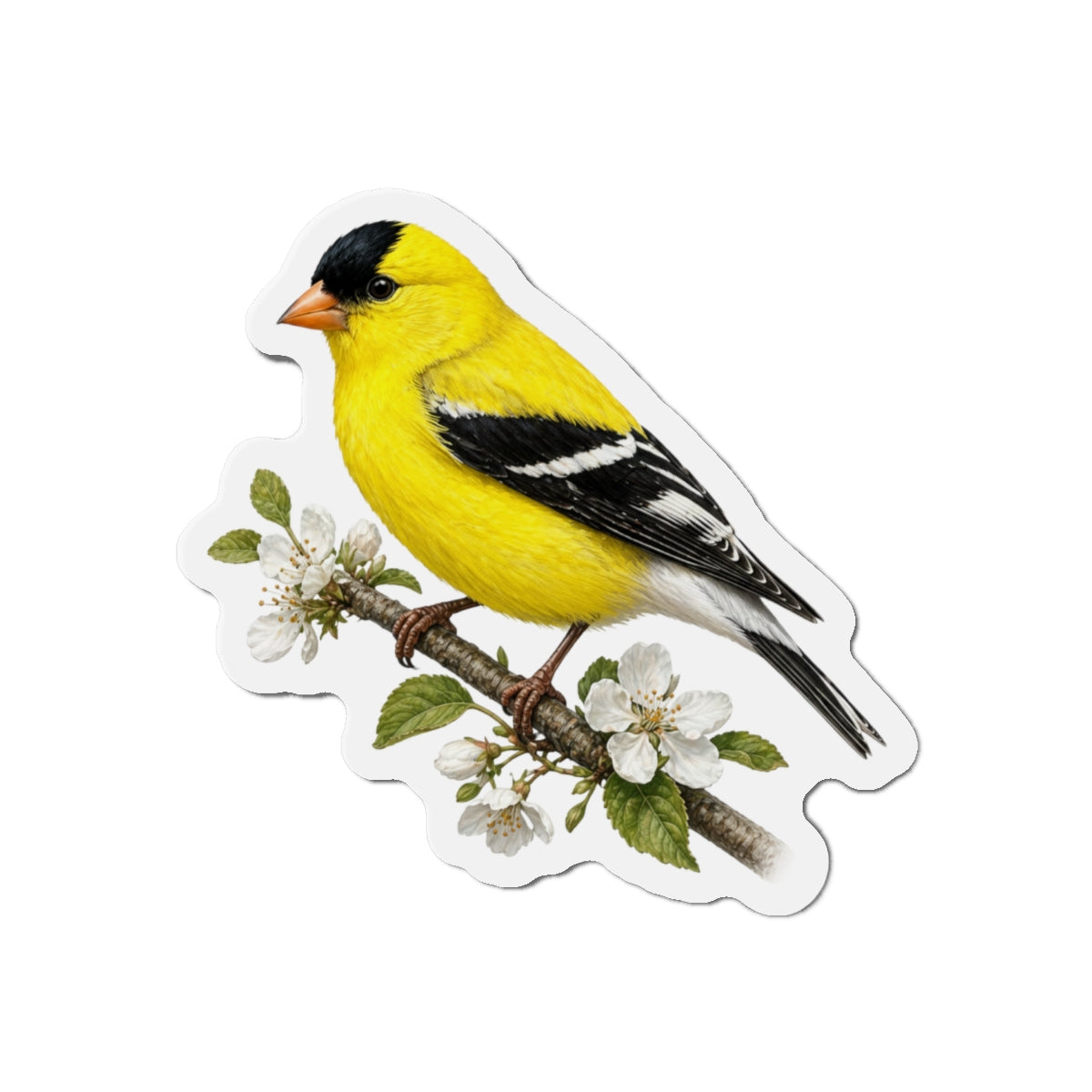 Goldfinch Bird Magnet