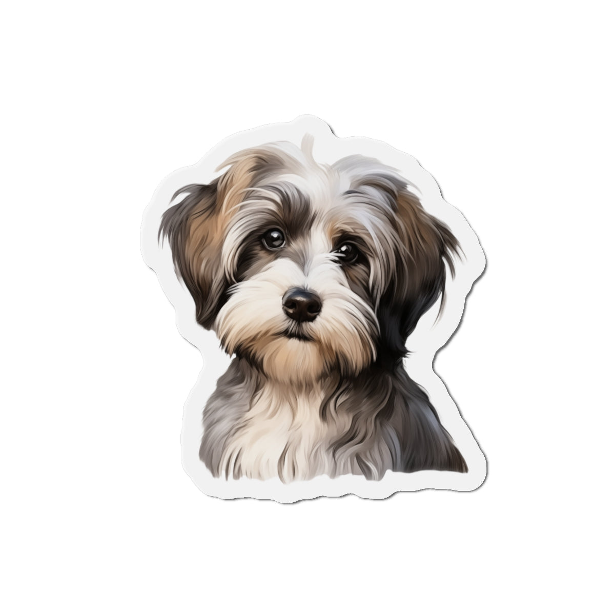 Havanese Magnet