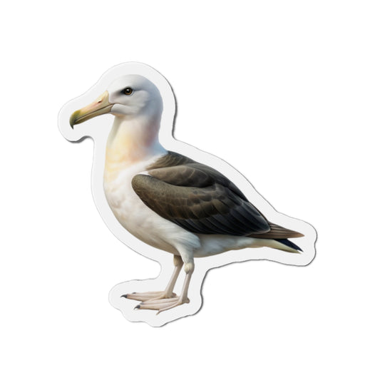 Albatross Magnet - Wildlife Bird Fridge Magnet
