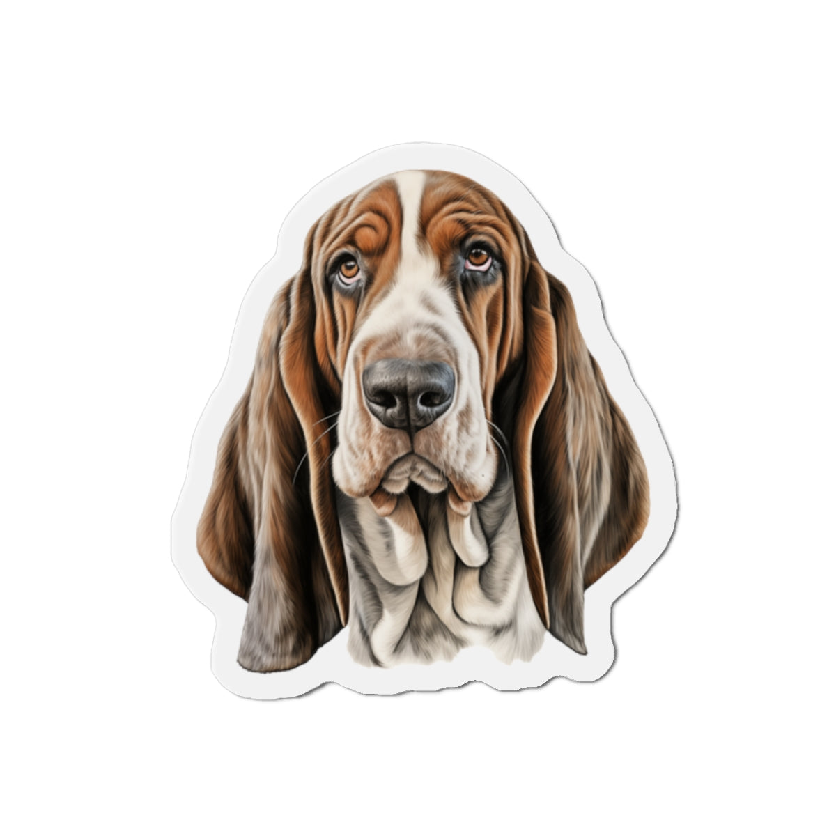 basset hound magnet