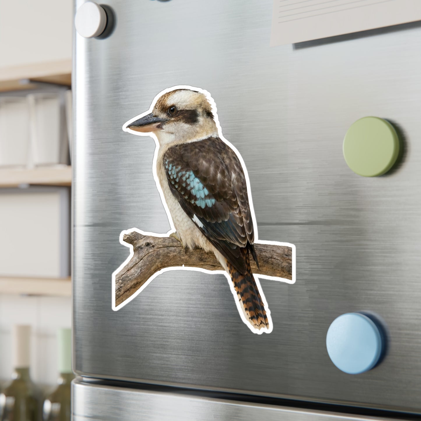 Kookaburra Vinyl Decal | Bird Sticker, Australian Wildlife