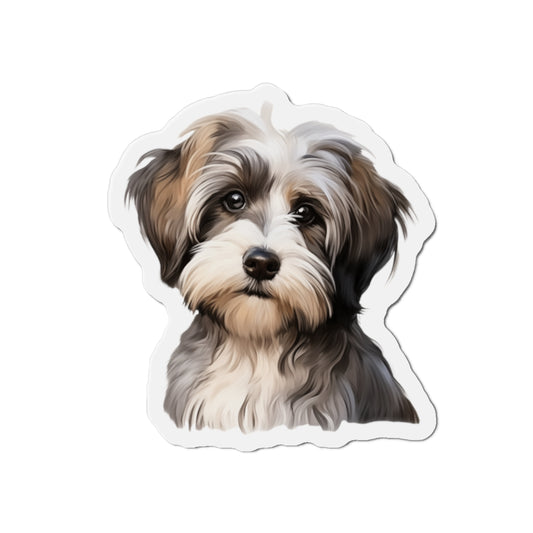 Havanese Magnet