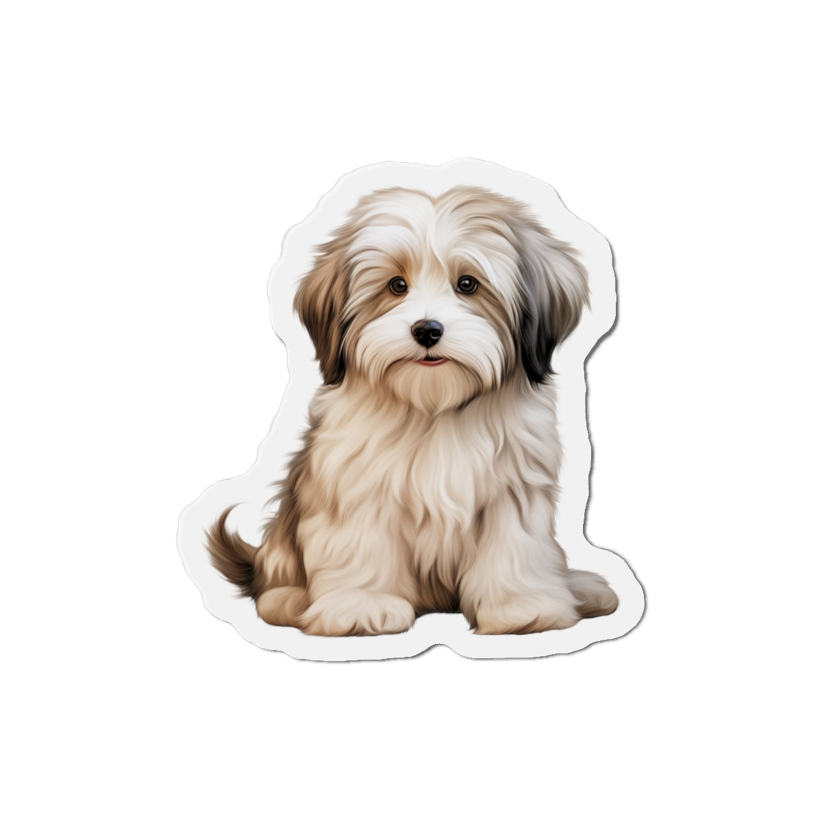 Havanese Magnet