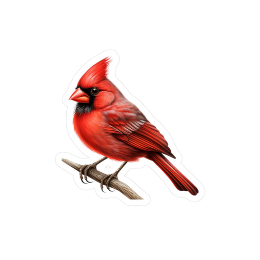 Cardinal Sticker - Waterproof Bird Decal
