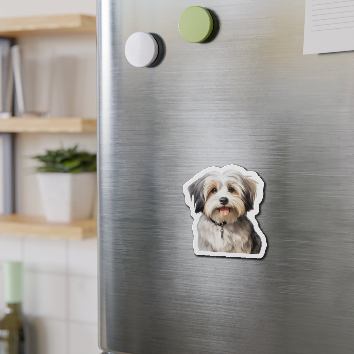 Havanese Magnet