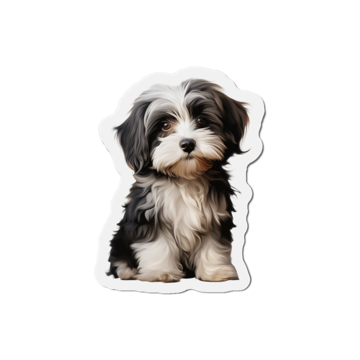 Havanese Magnet