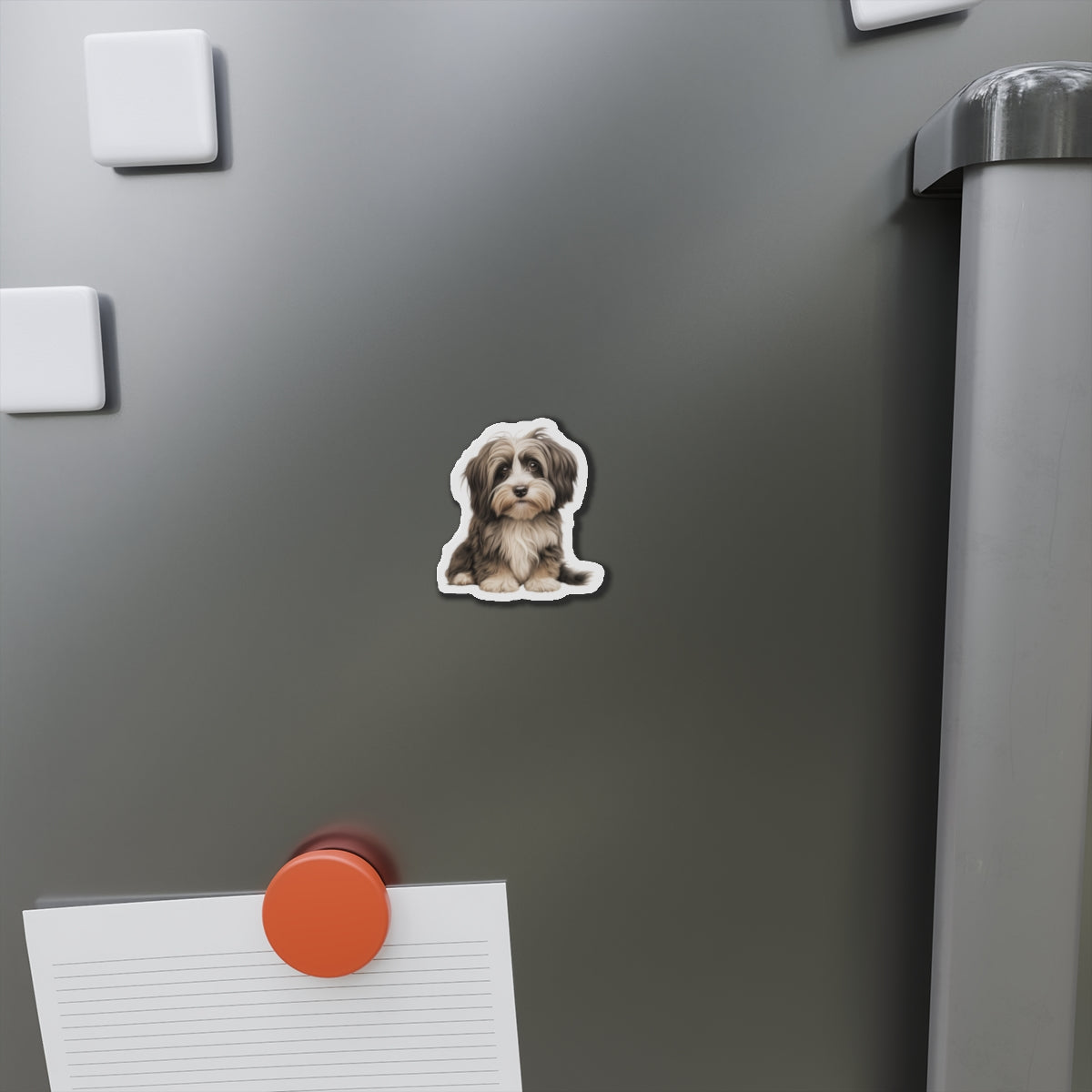Havanese Magnet