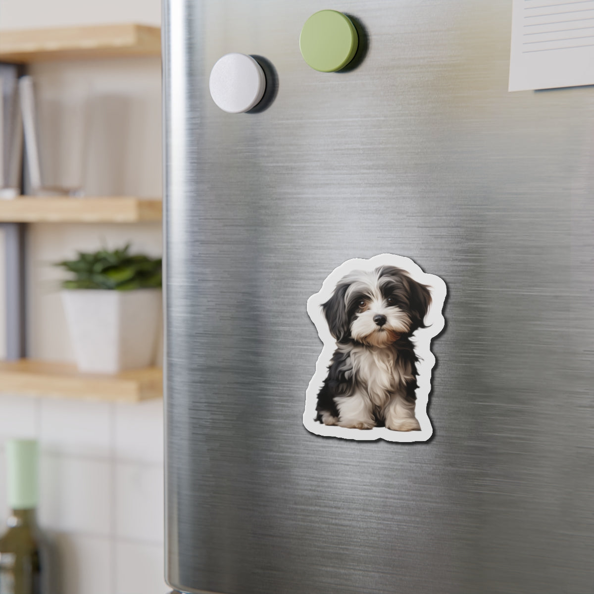 Havanese Magnet