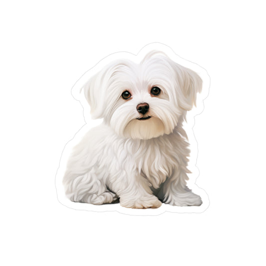 Maltese Sticker - Vinyl Dog Decals