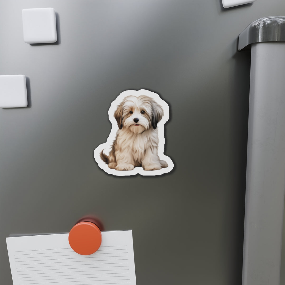 Havanese Magnet
