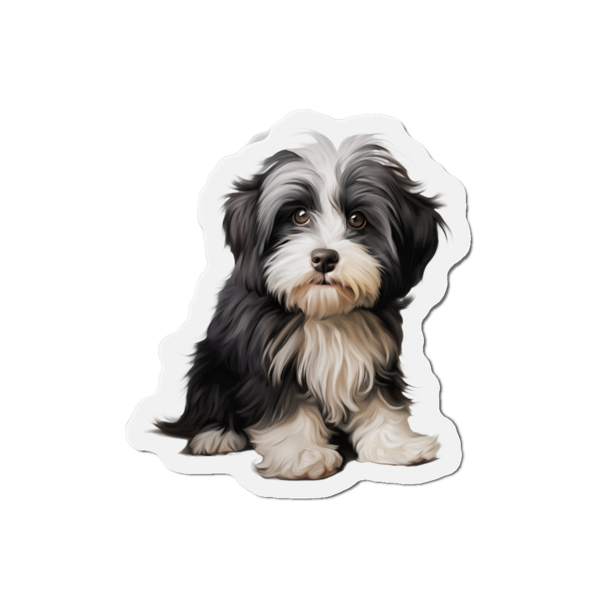 Havanese Magnet