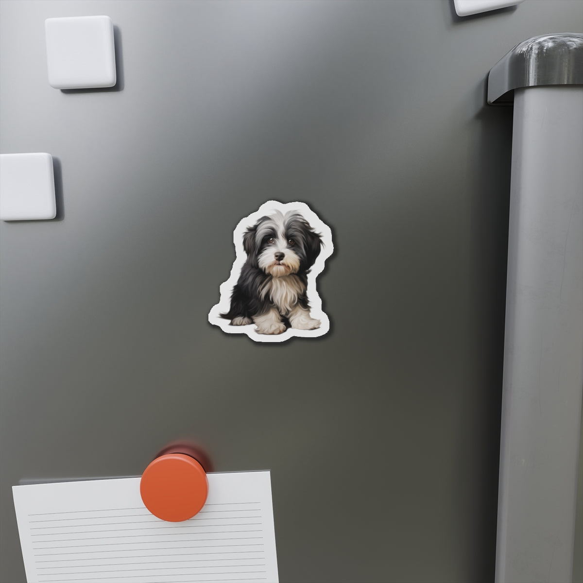Havanese Magnet