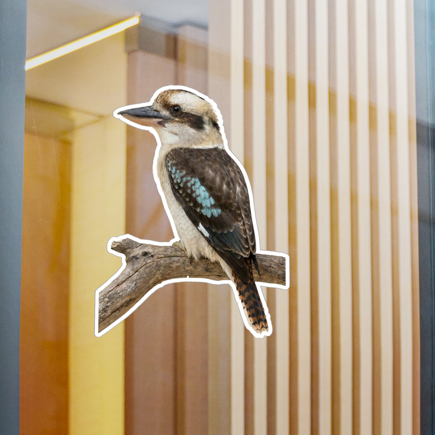 Kookaburra Vinyl Decal | Bird Sticker, Australian Wildlife