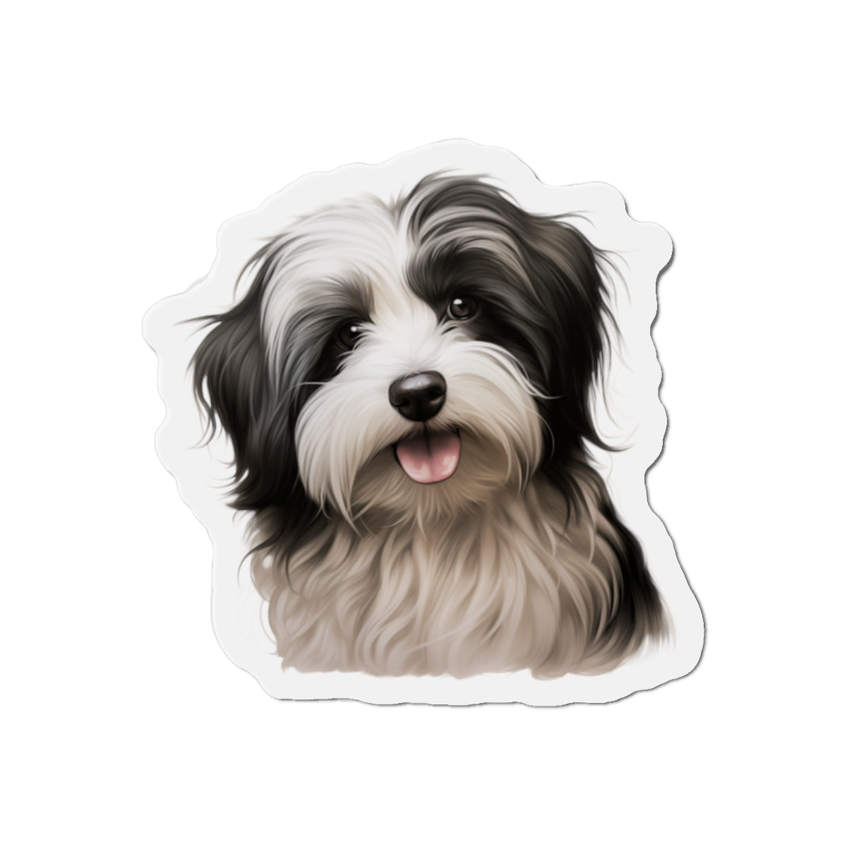 Havanese Magnet