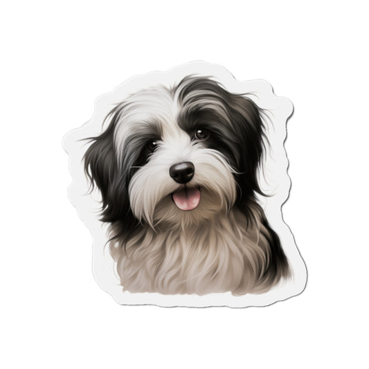 Havanese Magnet