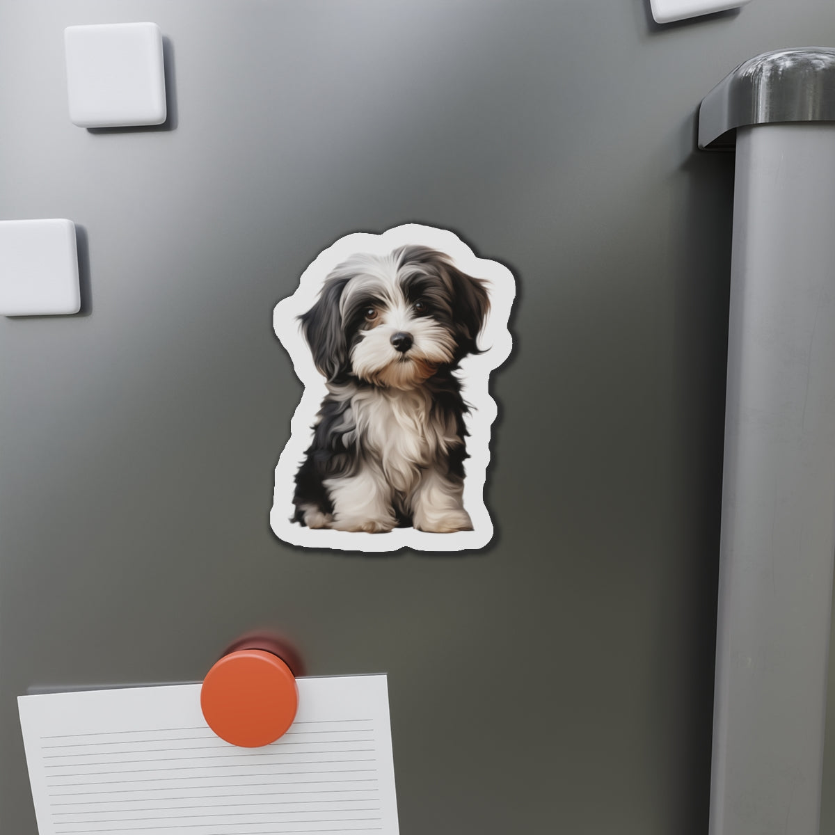 Havanese Magnet