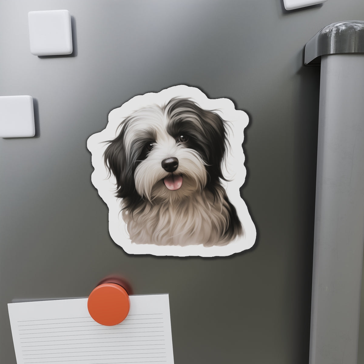 Havanese Magnet