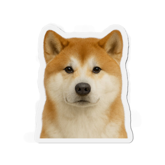 akita magnet