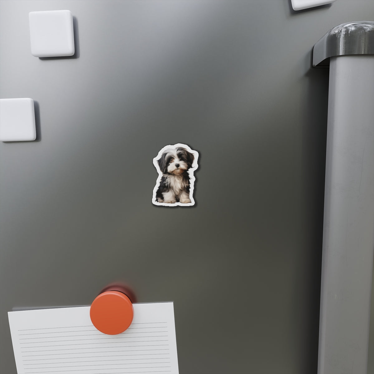 Havanese Magnet