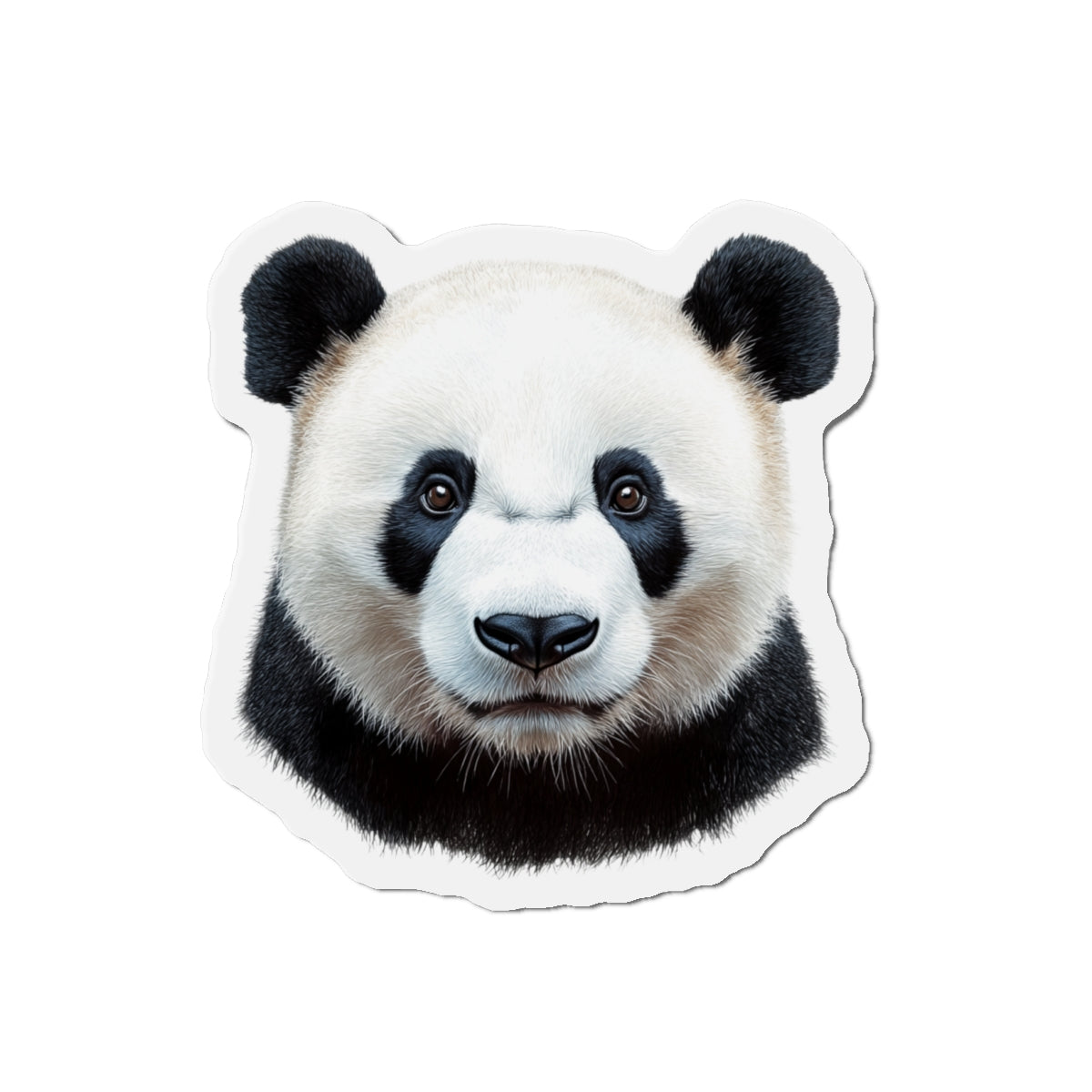 Panda Magnet - Wildlife Animal Lover Gift
