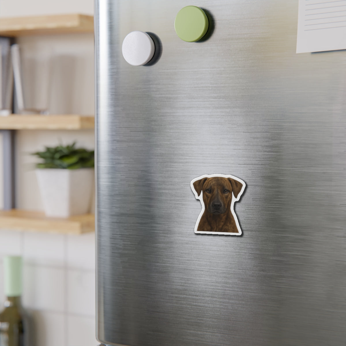 Africanis Die-Cut Magnet, Fridge Magnet, Cute Dog Magnet, Animal Lover Gift, Pet Owner Decor, Kitchen Decor