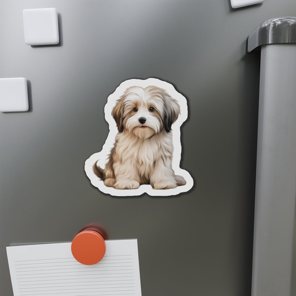 Havanese Magnet