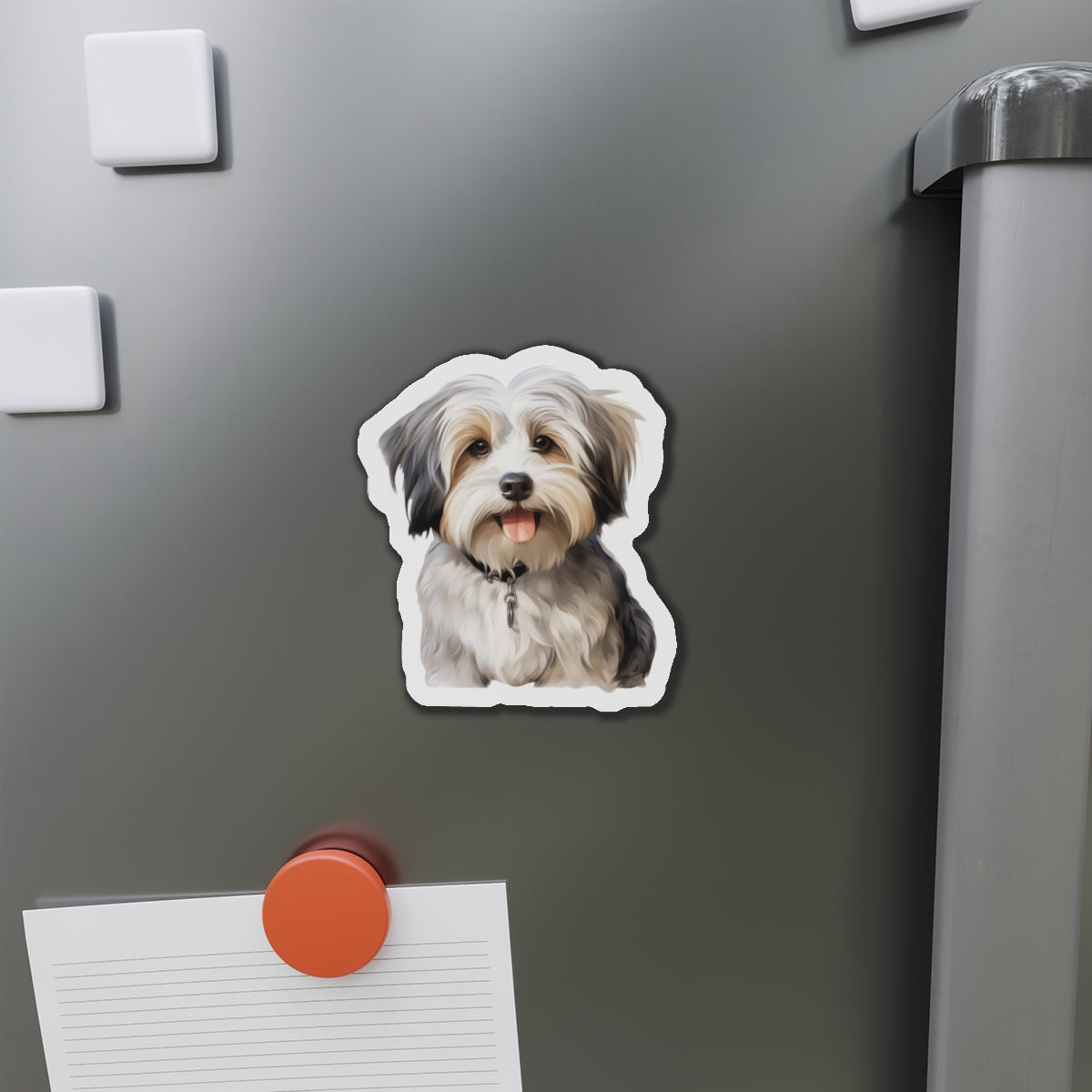 Havanese Magnet