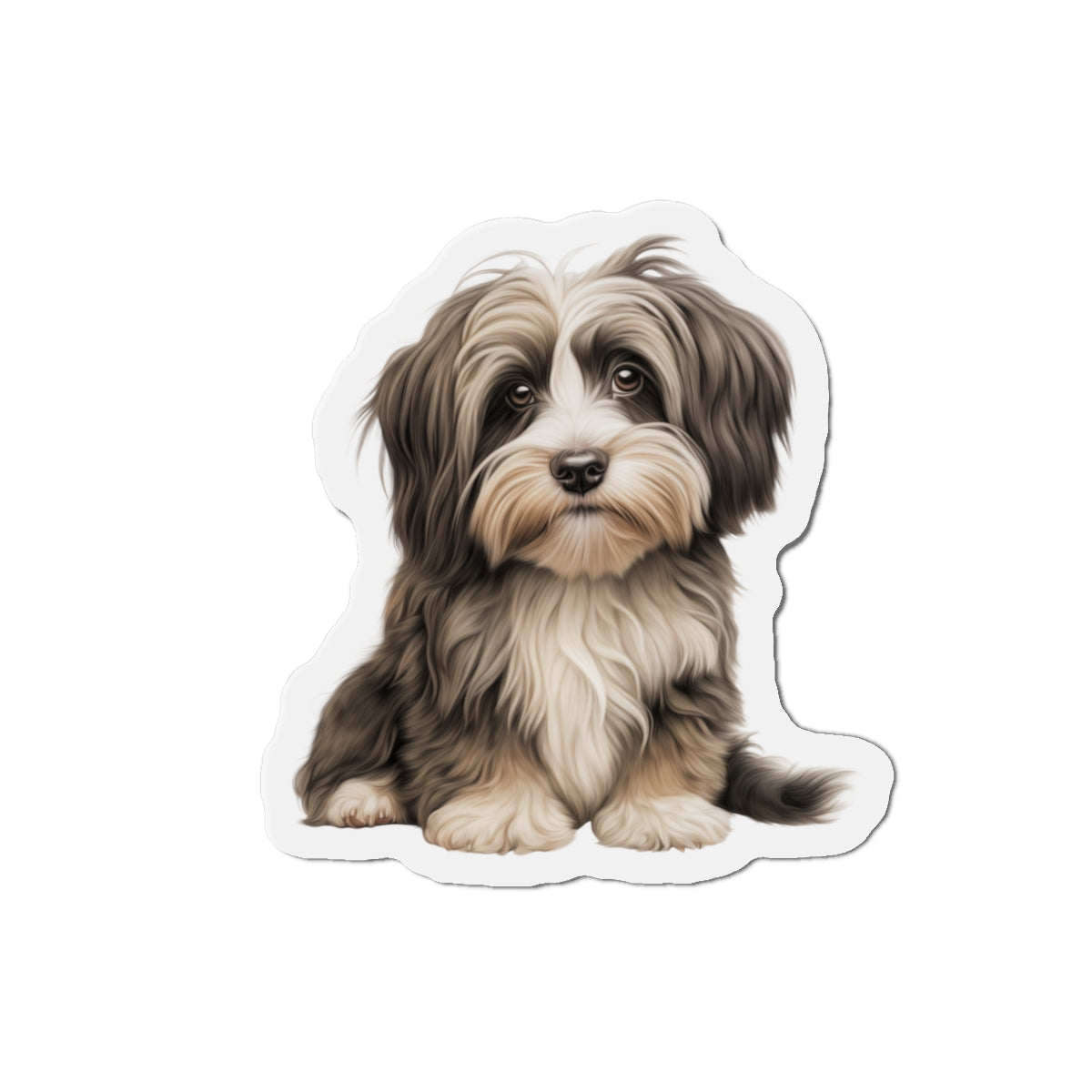 Havanese Magnet