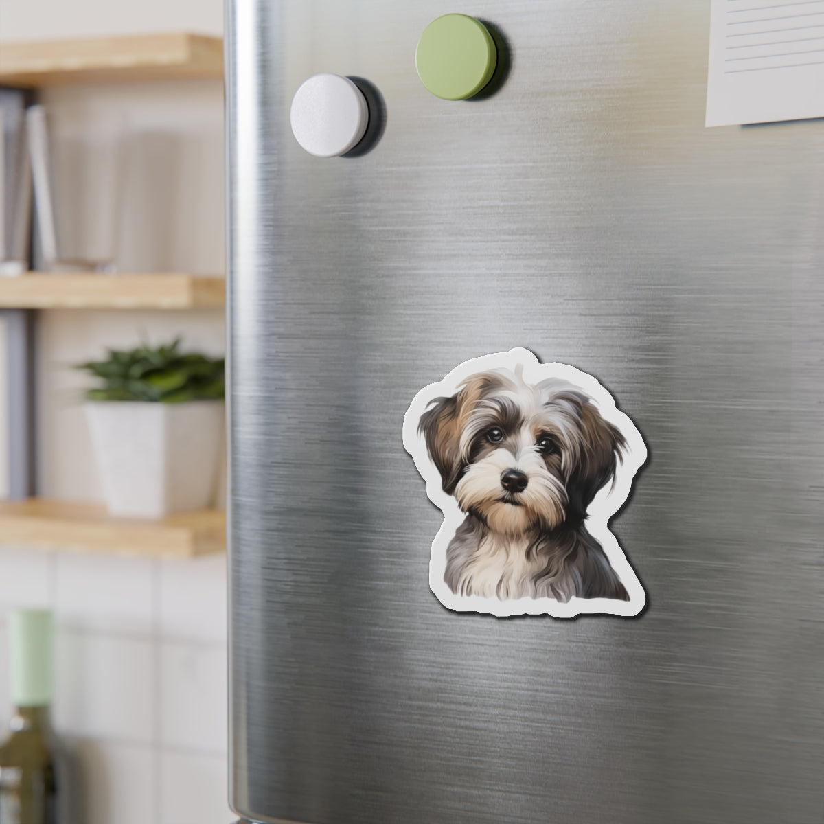 Havanese Magnet