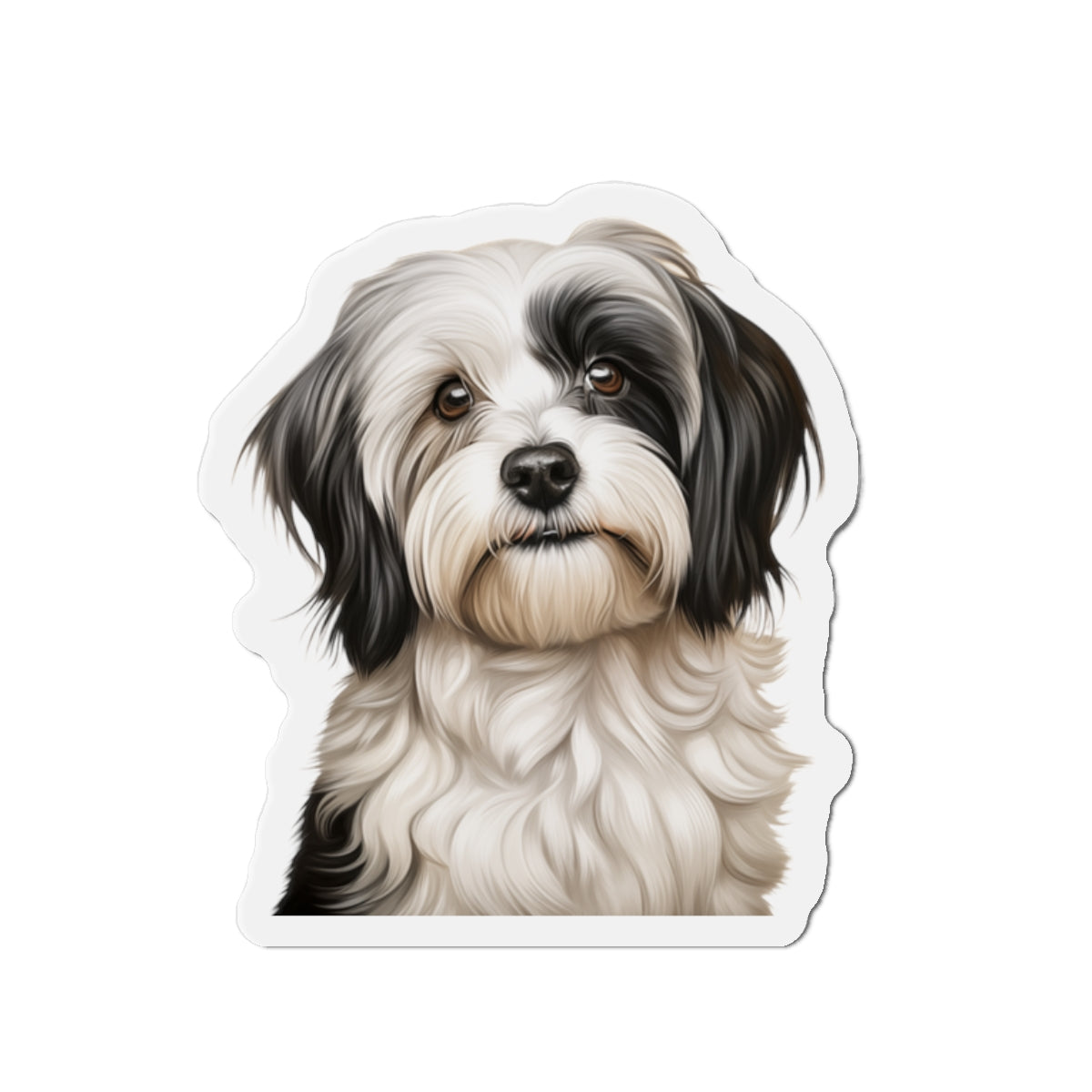 Havanese Magnet
