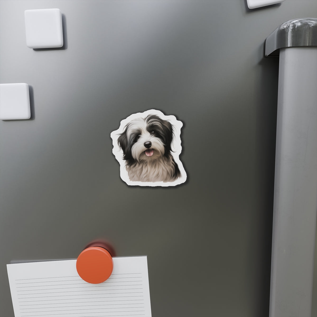 Havanese Magnet