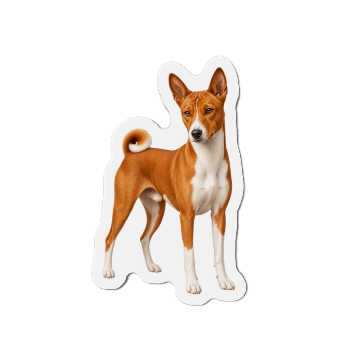 Basenji Magnet | Dog Lover Gift