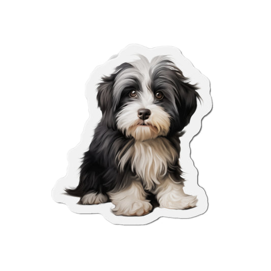 Havanese Magnet