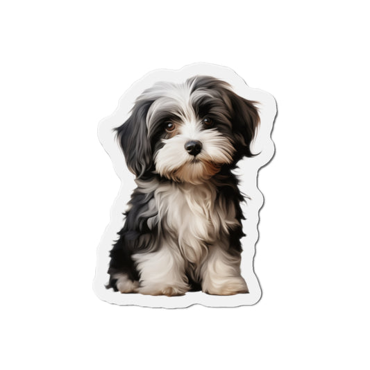 Havanese Magnet