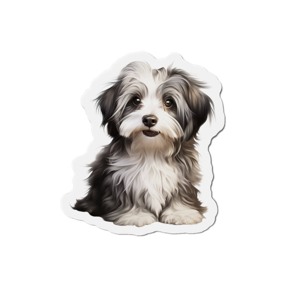 Havanese Magnet
