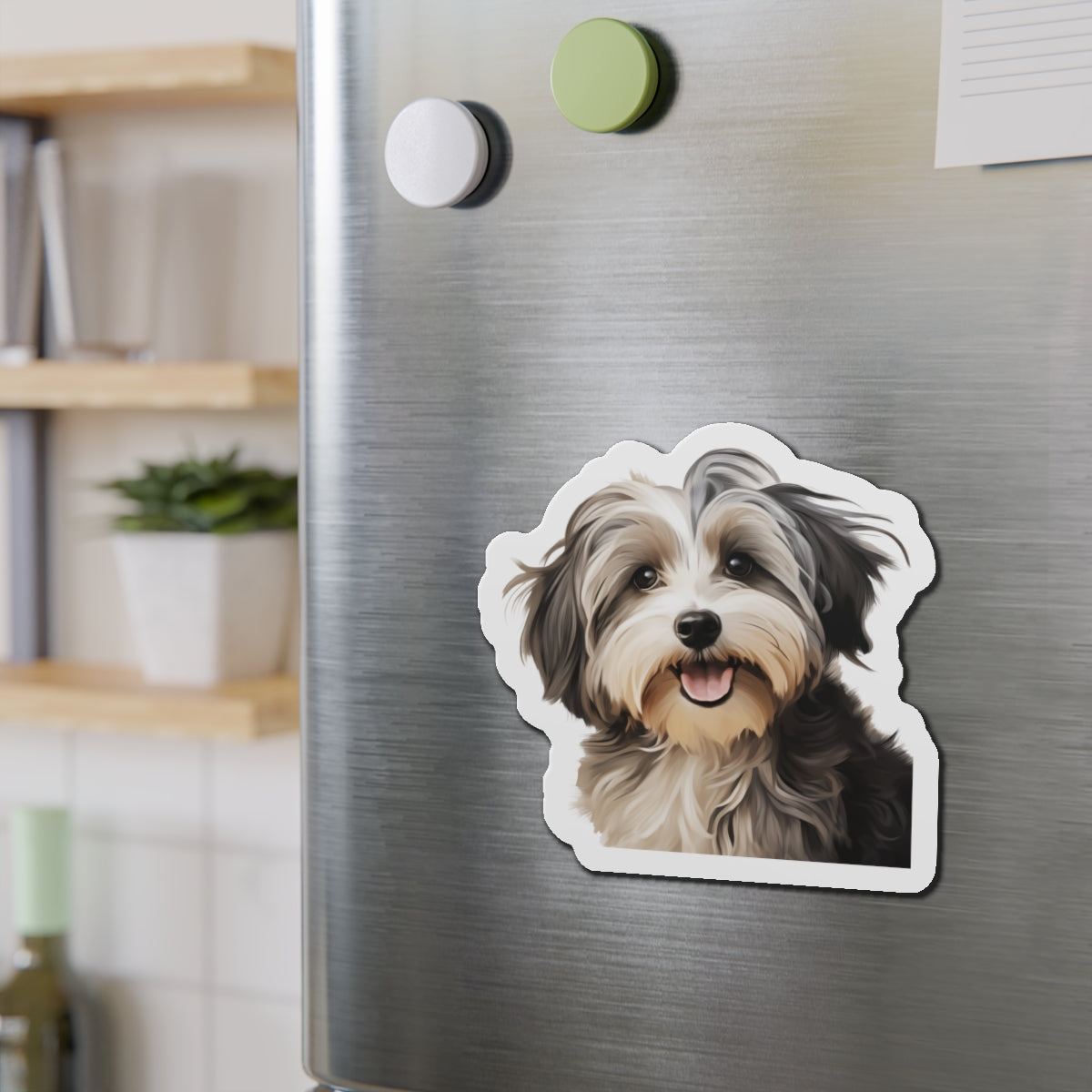 Havanese Magnet