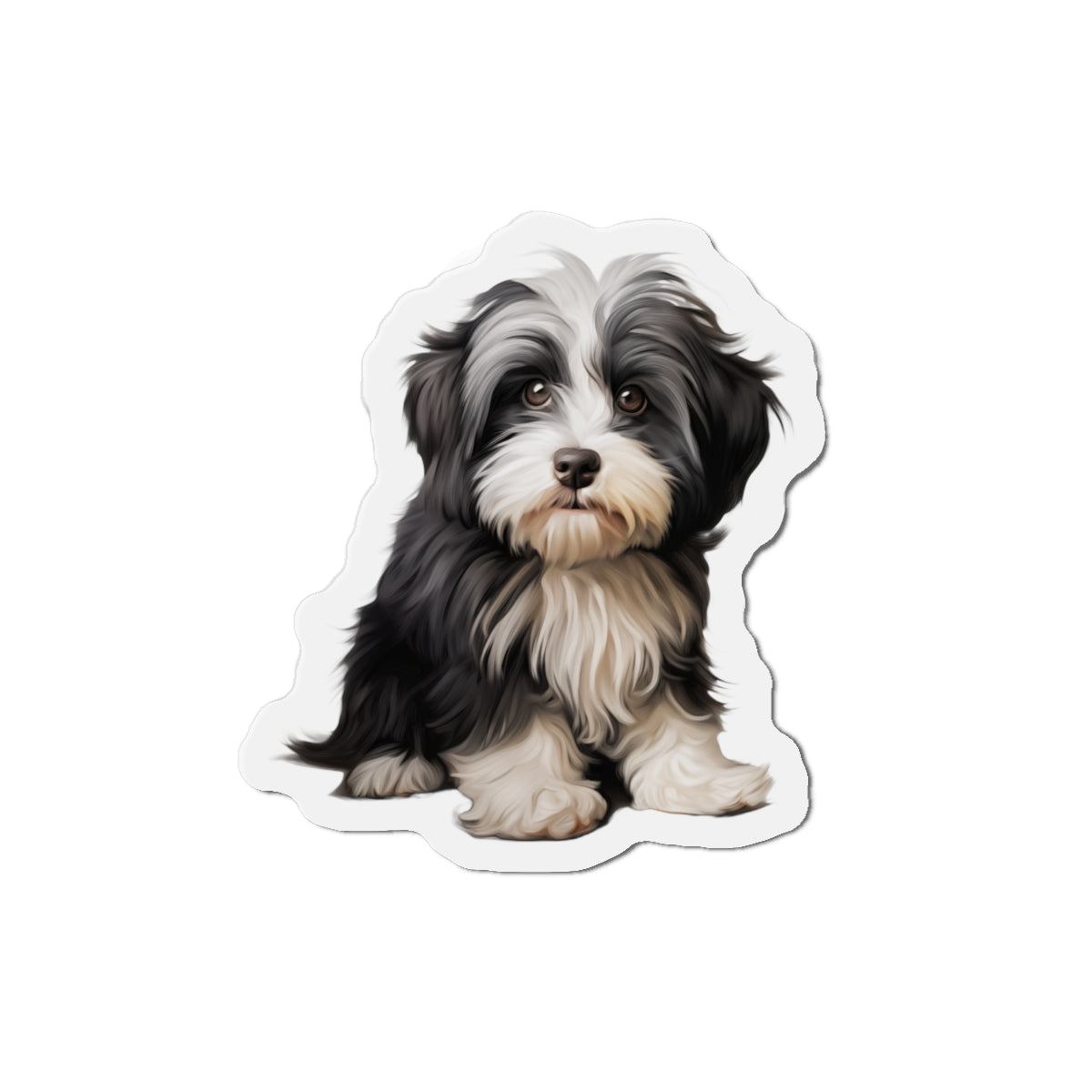 Havanese Magnet