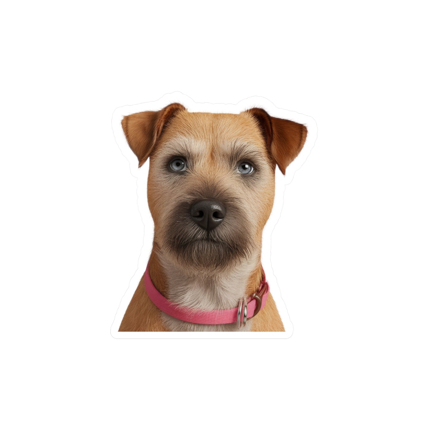 Border Terrier Kiss-Cut Vinyl Decals Stickers, Dog Lover Gift, Car Decals, Laptop Stickers, Pet Owner Gift, Animal Lover Decor