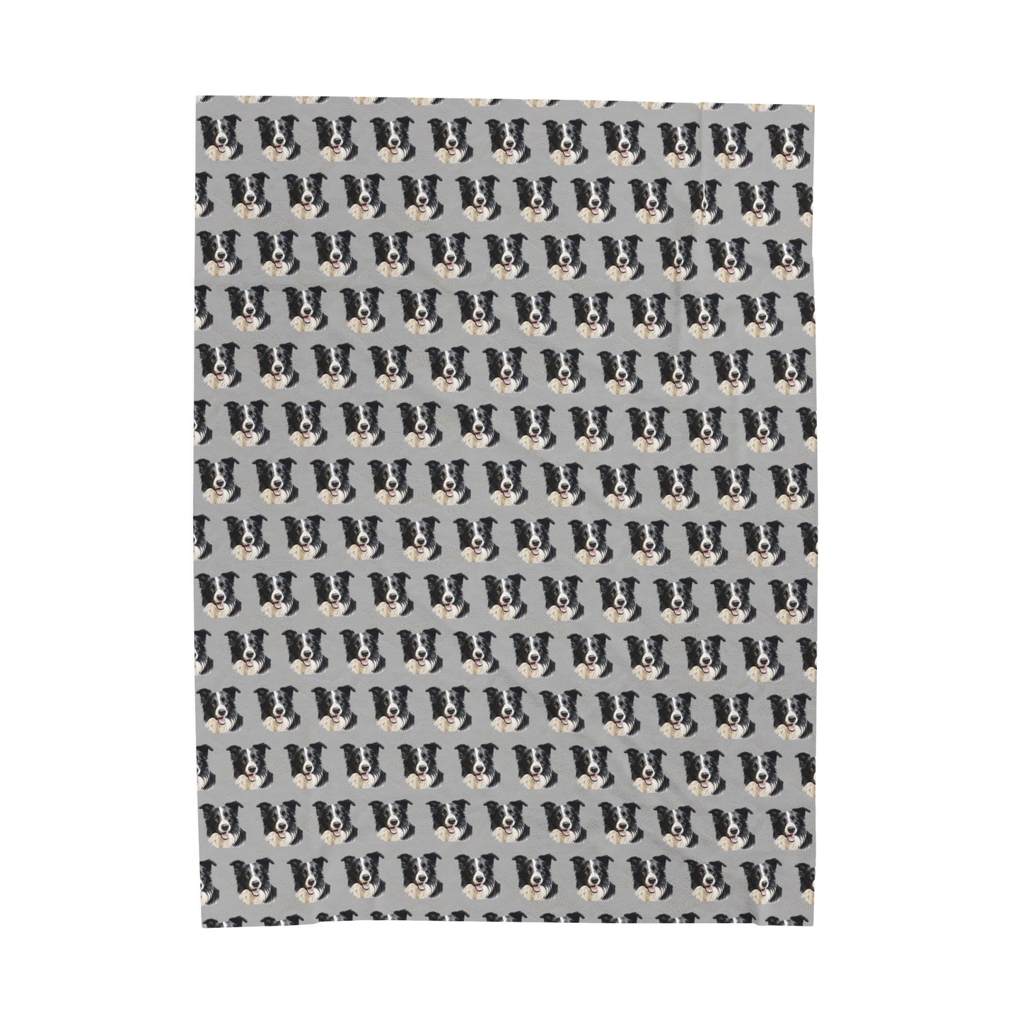 Border Collie Velveteen Plush Blanket - Light Grey Background