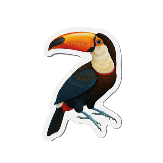 Toucan Magnet - Bird Lover Gift