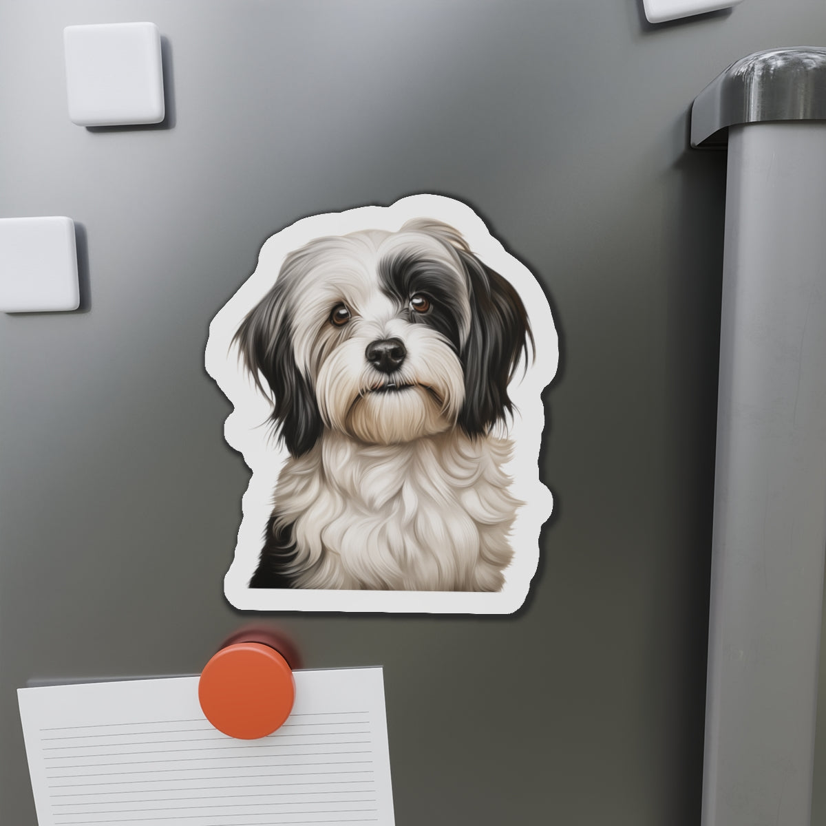 Havanese Magnet