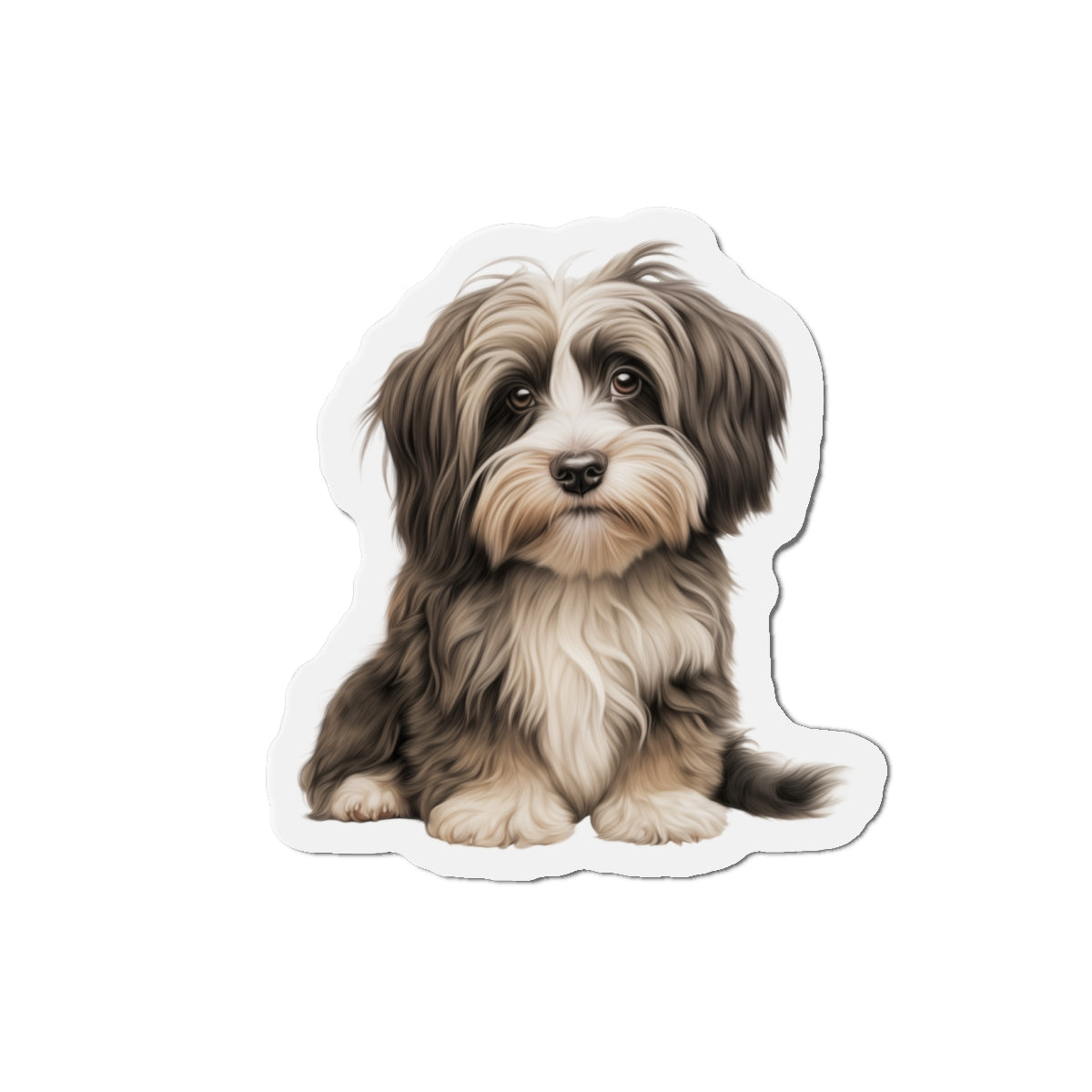 Havanese Magnet