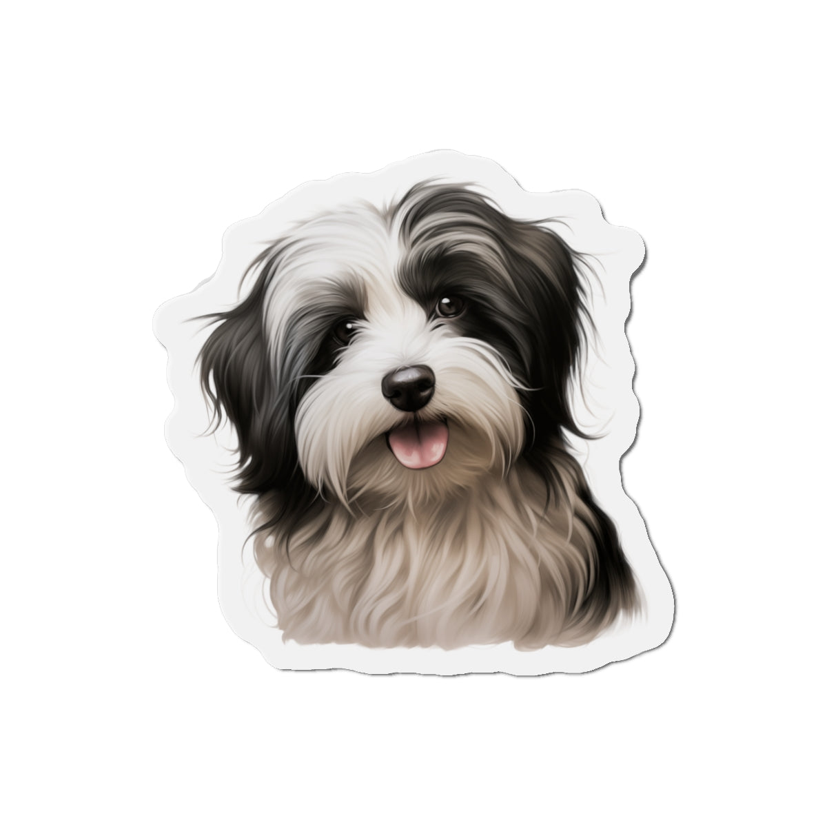 Havanese Magnet