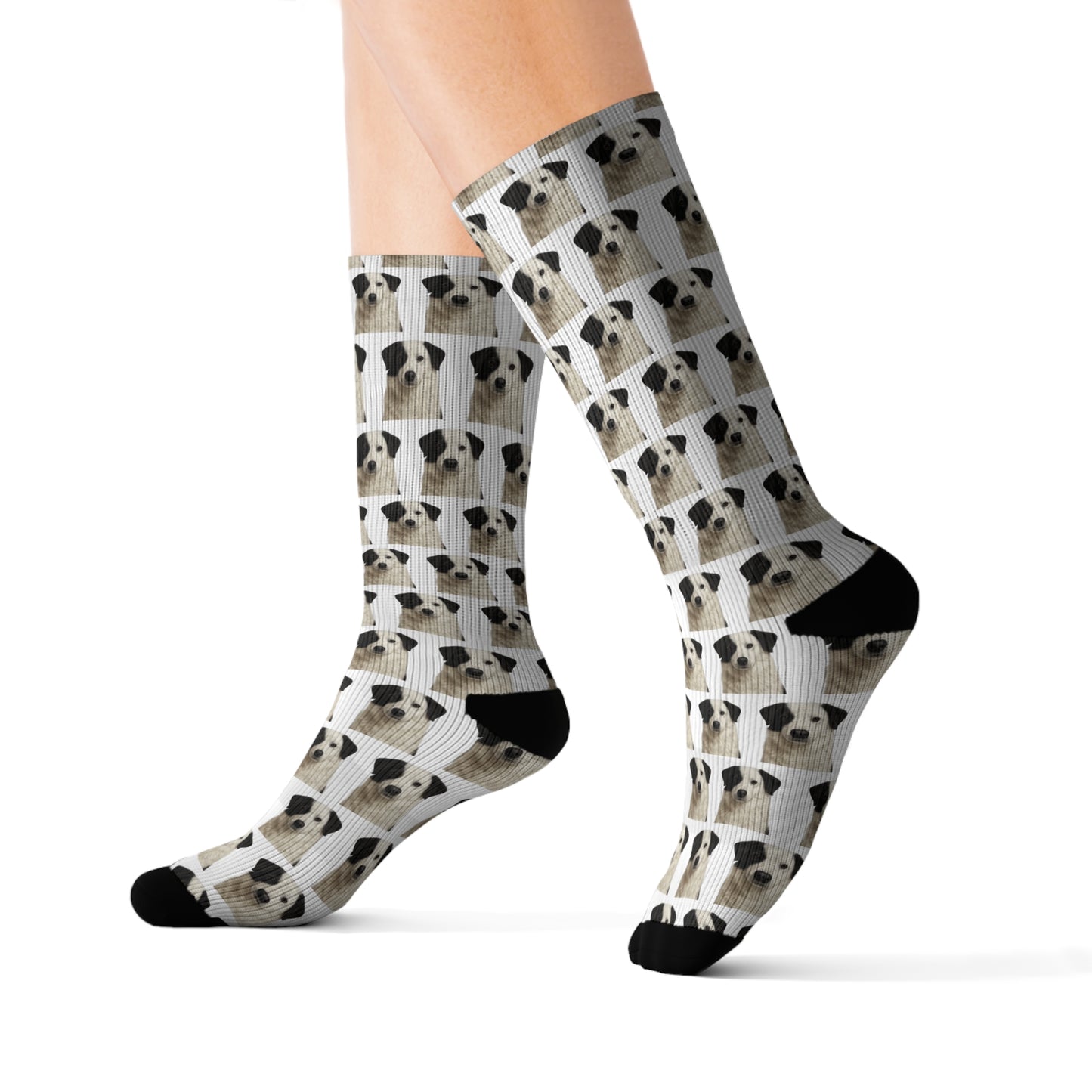 Aidi Socks - Dog Lover Gift, Cute Animal Apparel, Pet Owner Present, Colorful Patterned Footwear, Unique Puppy Accessory